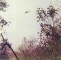 Gunship pulls up after firing run, Thanksgiving 1970