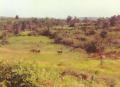 Vietnamese commerce near daylight defensive position